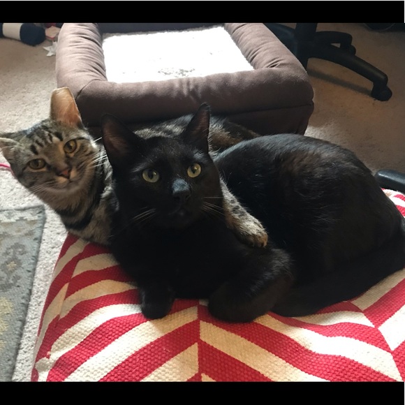 Meet your Posher, Sarah De - Picture 1 of 3